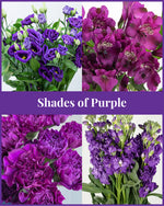 Load image into Gallery viewer, Shades of Purple
