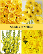 Load image into Gallery viewer, Shades of Yellow