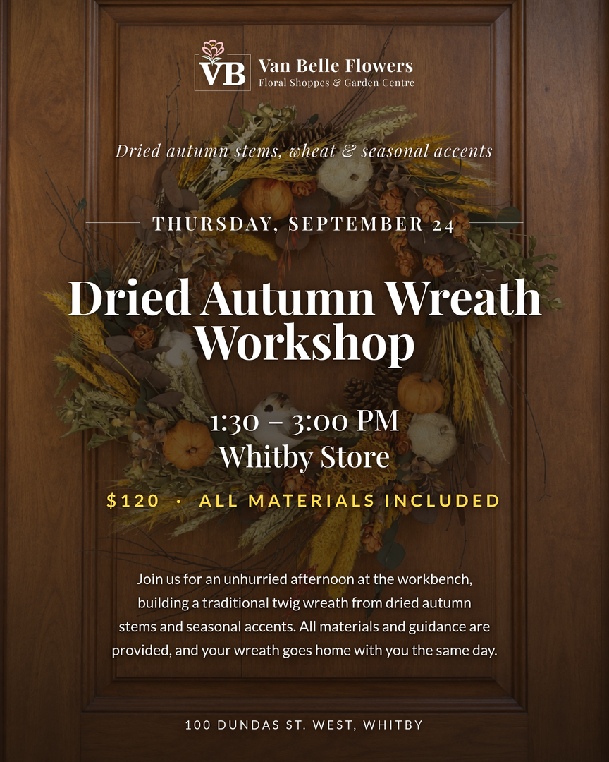 Dried Autumn Wreath Workshop (Whitby)