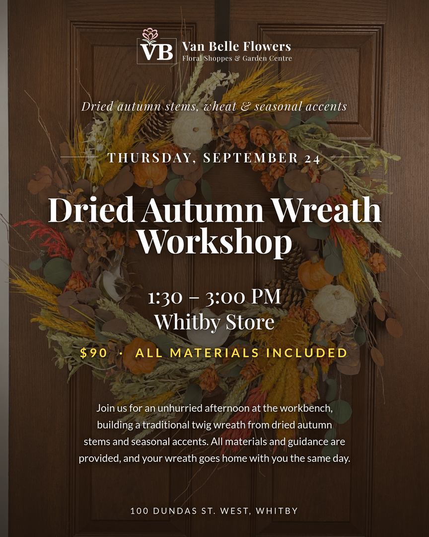 Dried Autumn Wreath Workshop (Whitby)