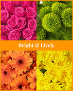 Load image into Gallery viewer, Bright and Lively