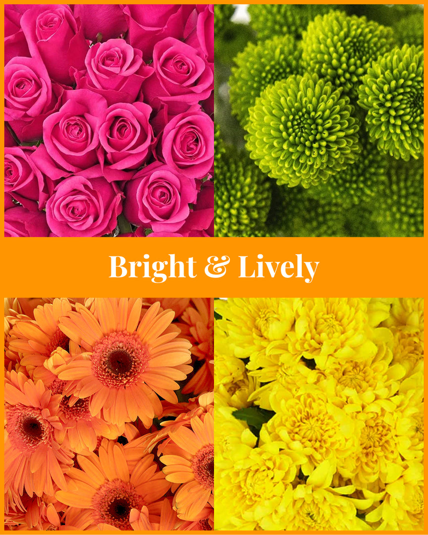 Bright and Lively