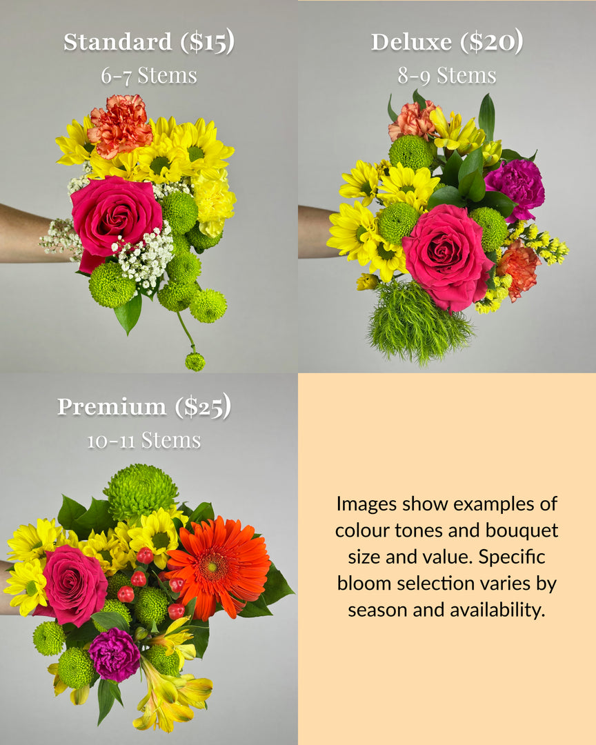 Bright and Lively