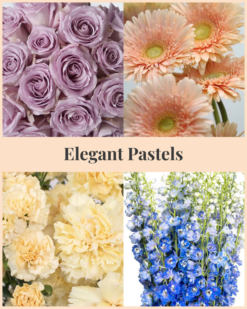 Elegant Pastels