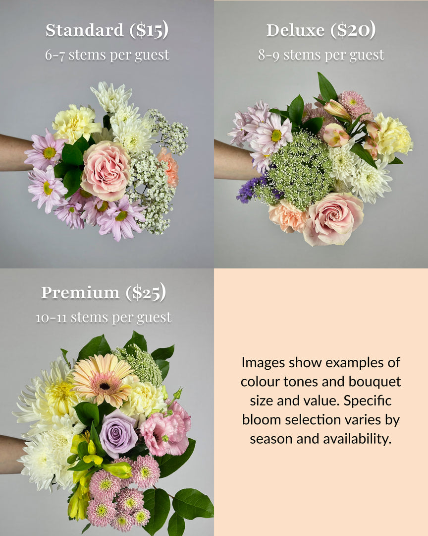 Elegant Pastels