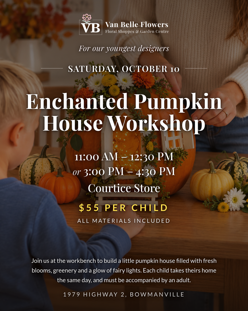 Enchanted Pumpkin House Workshop (Courtice)