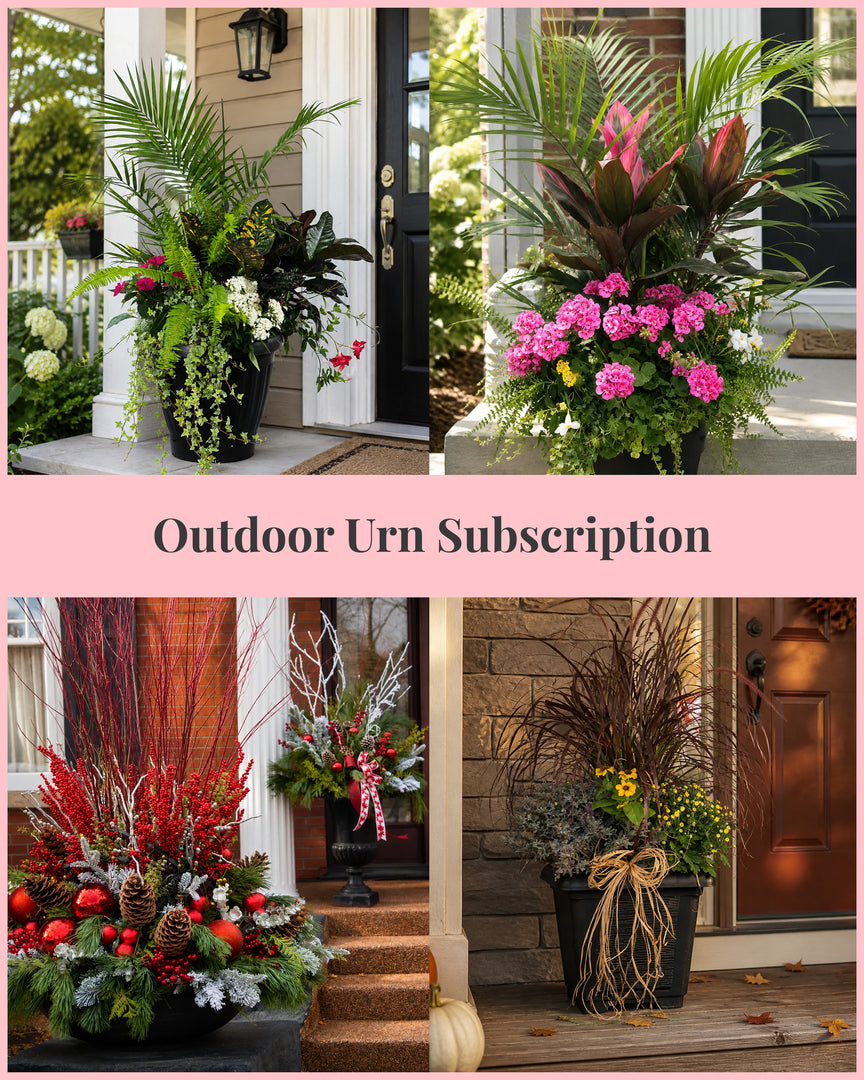 Outdoor Urn Subscription