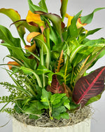 Load image into Gallery viewer, Garden Party