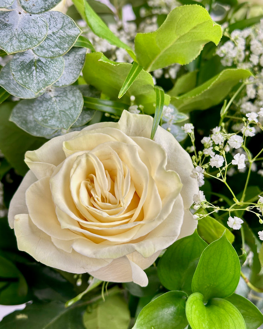 White Rose Vase Arrangement