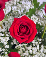 Load image into Gallery viewer, Red Rose Vase Arrangement