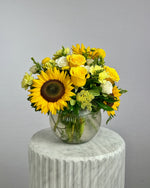Load image into Gallery viewer, Sunshine and Splendour