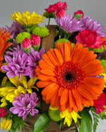 Load image into Gallery viewer, Bountiful Basket