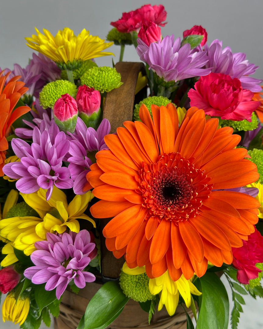Bountiful Basket