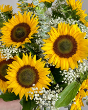 Hello Sunshine