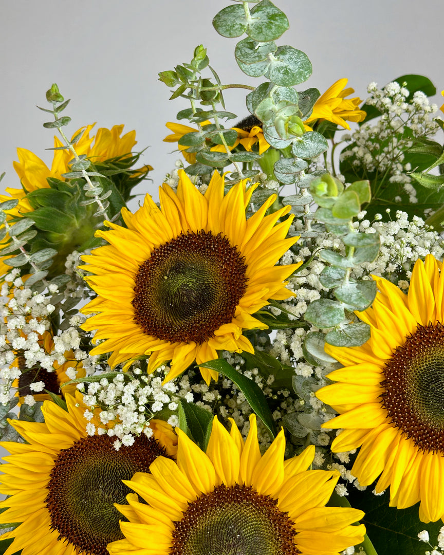 Hello Sunshine