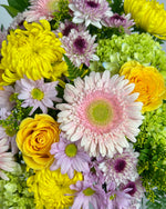 Load image into Gallery viewer, Sunshine &amp; Smiles