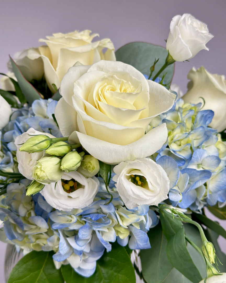 Essence of Elegance