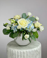 Essence of Elegance