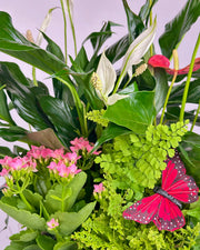 Wild Hearth
