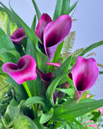 Load image into Gallery viewer, Fernbrook