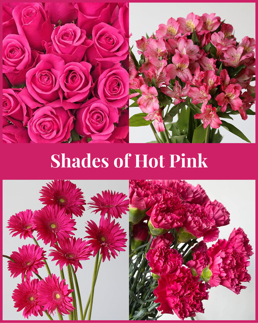 Shades of Hot Pink