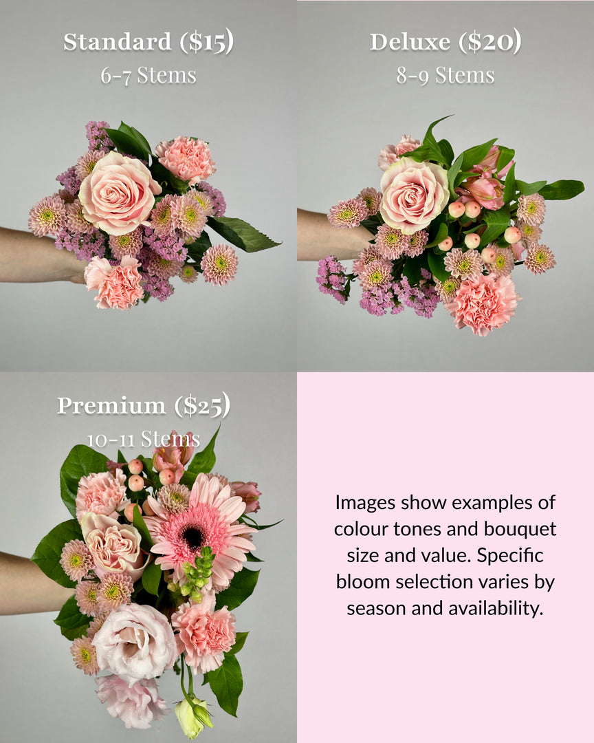 Shades of Light Pink