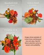 Load image into Gallery viewer, Shades of Orange