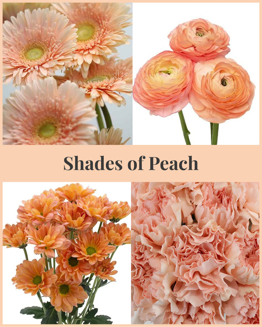 Shades of Peach