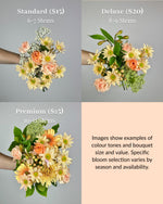 Load image into Gallery viewer, Shades of Peach