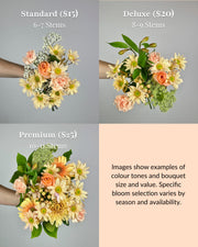 Shades of Peach