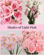 Load image into Gallery viewer, Shades of Light Pink