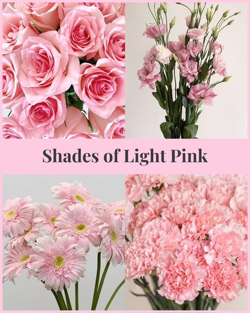 Shades of Light Pink