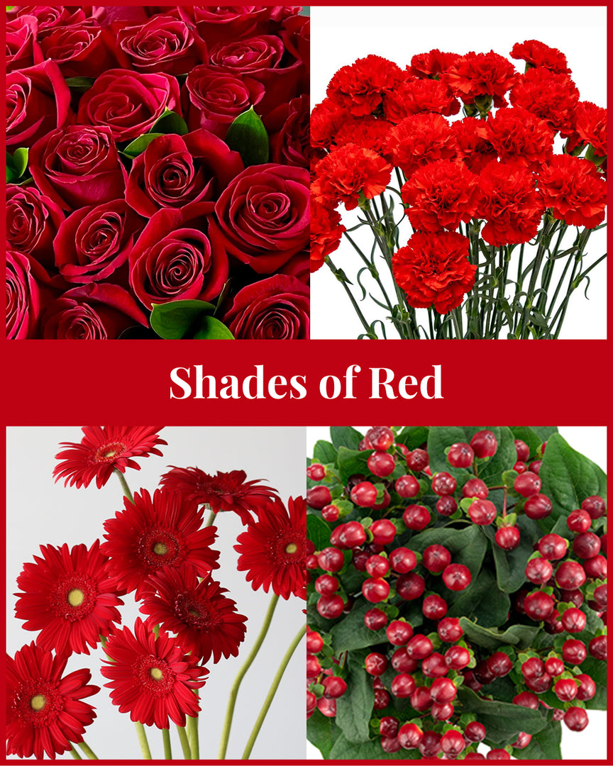 Shades of Red