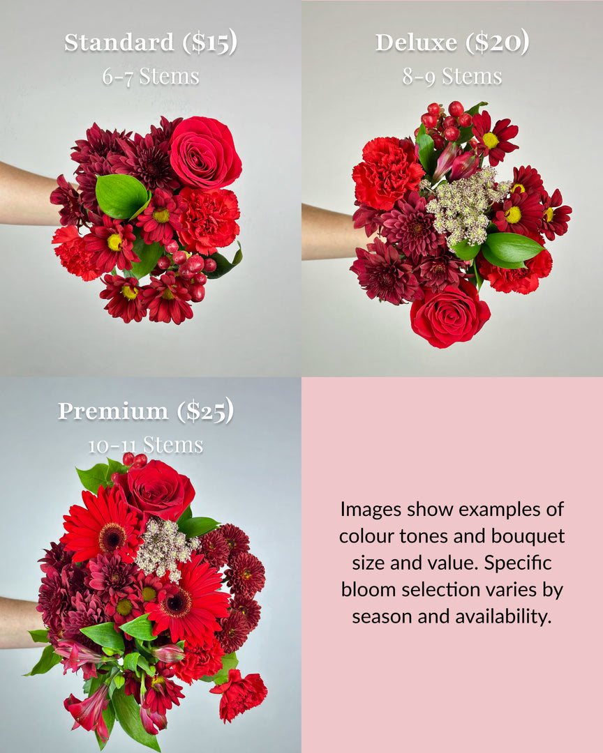 Shades of Red