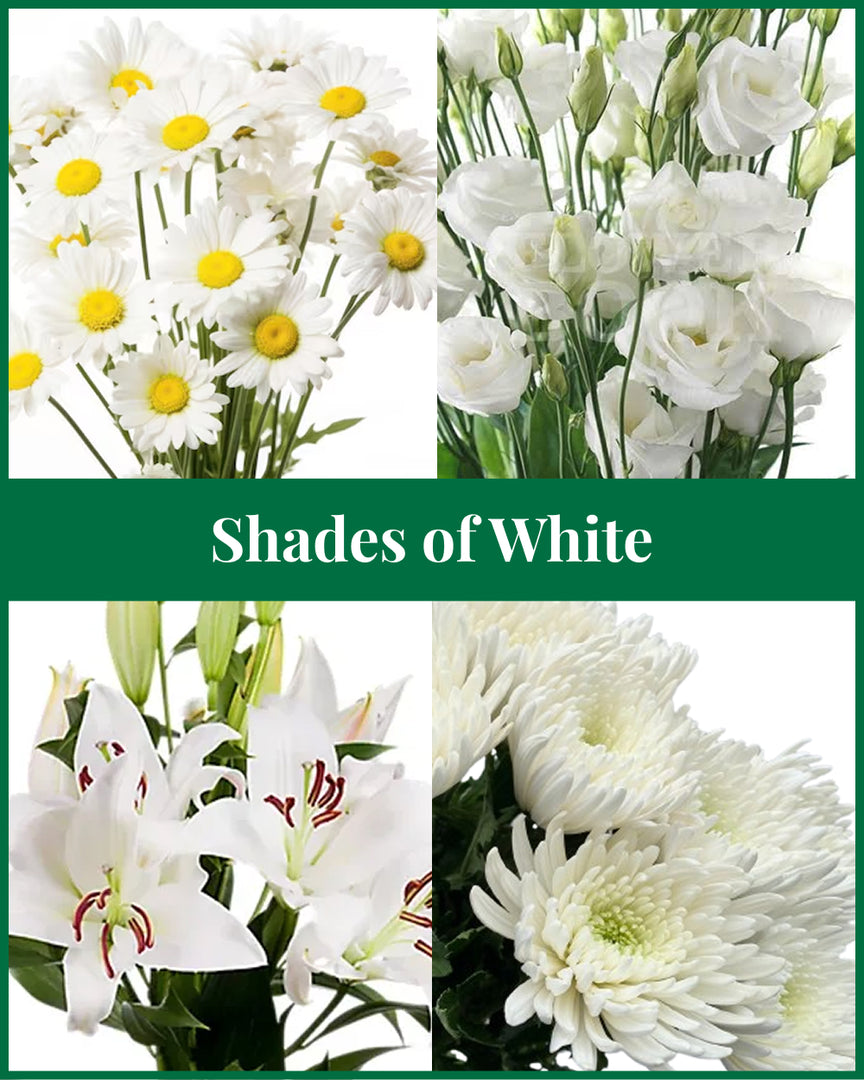 Shades of White