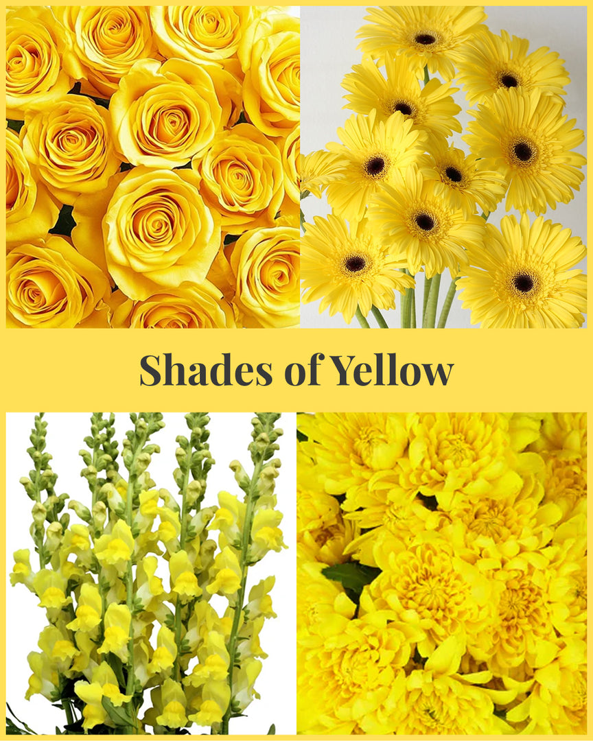 Shades of Yellow