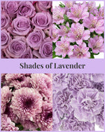 Load image into Gallery viewer, Shades of Lavender