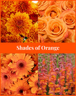 Load image into Gallery viewer, Shades of Orange