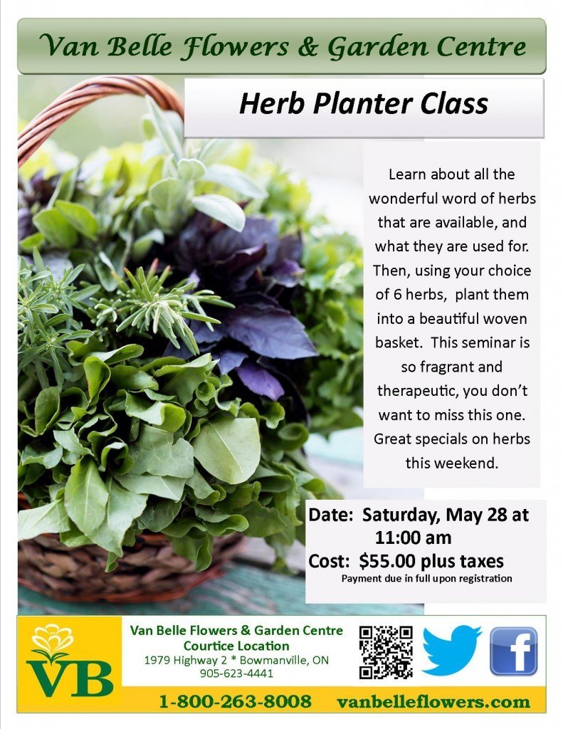 Herb Planter Class May 28 2016 Van Belle Flowers