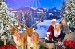 Photos with Santa - check out all of Van Belle's Events & Classes